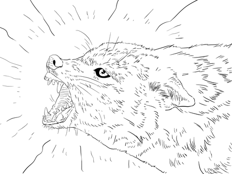 Golden Jackal Portrait Coloring Page